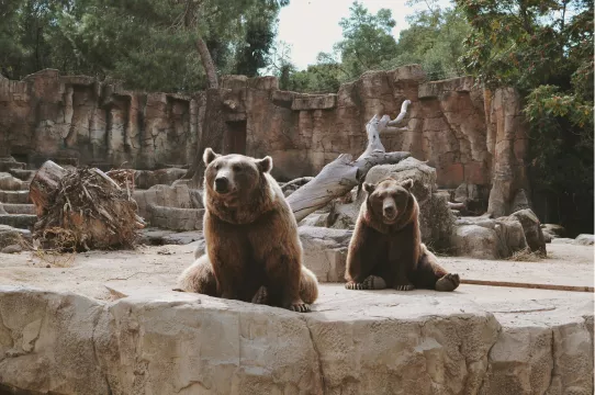 Zoo Antwerpen